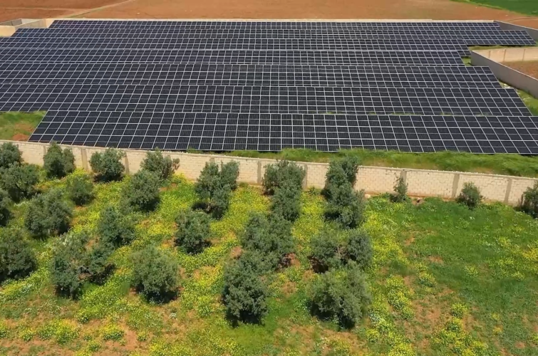 Master Without Text.mp4.00_02_21_27.Still011