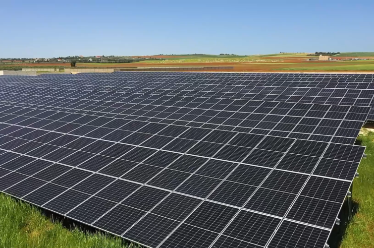 Master Without Text.mp4.00_02_29_37.Still013