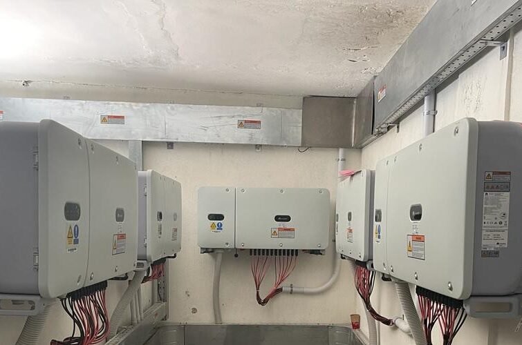 WhatsApp Image 2023-07-19 at 2.16.50 PM